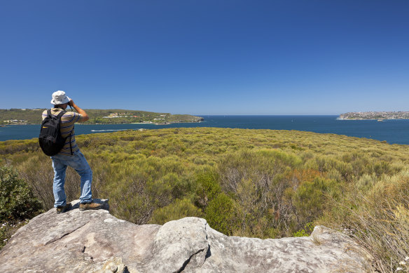 The Manly Scenic Walkway takes you through bushland and harbour beaches, with views of North Head and the city skyline.