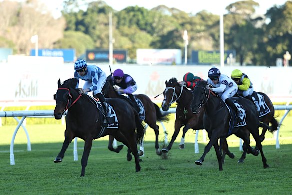 Cool Jakey venceu em Randwick em 6 de junho.