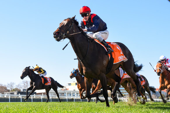 Connections of former Irish galloper I Am Superman won't want it too wet at Rosehill on Saturday.
