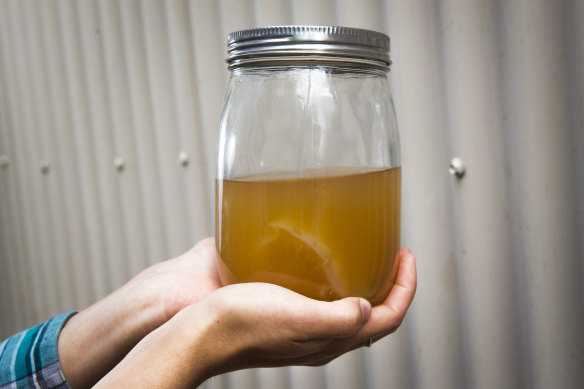Is there any benefit to drinking kombucha?