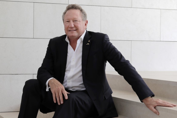 Fortescue Metals Group chairman Andrew Forrest. 