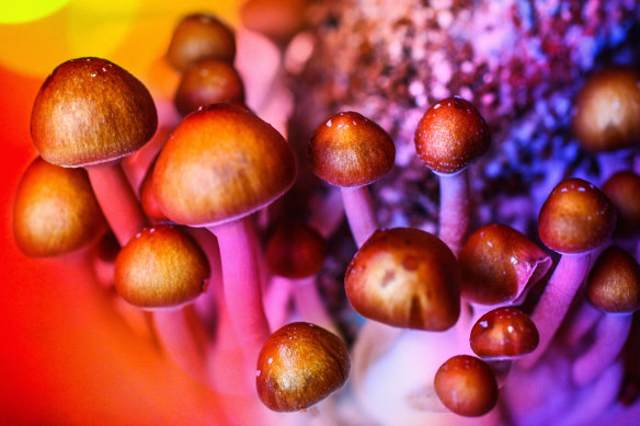 Psilocybin is the “active” ingredient in “magic” mushrooms. 