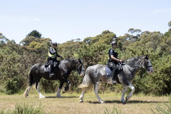 Mounted police searched Moss Avenue, Mt Helen on Friday.