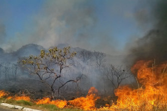 A bushfire burns near Brasilia, Brazil. A state of emergency was declared for the federal district due to the number of fires in it and in surrounding states.Â