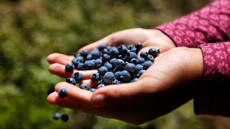 Keep calm and eat blueberries.