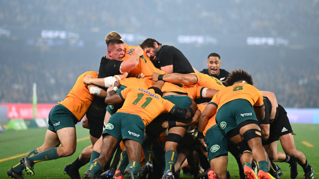 Bledisloe Cup 2022 as it happened: All Blacks win on final play as referee stuns Wallabies with controversial call