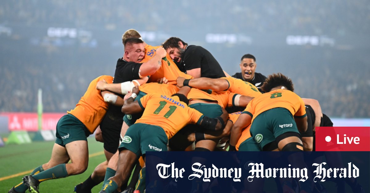 Bledisloe Cup 2022: All Blacks win on final play as referee stuns Wallabies with controversial call