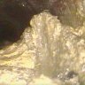 The 'fatbergs' lurking beneath Brisbane's streets