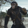 Kingdom of the Planet of the Apes is less entertaining than a nature doco