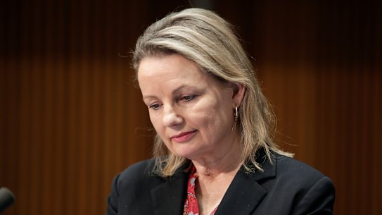 Environment Miniser Sussan Ley. 