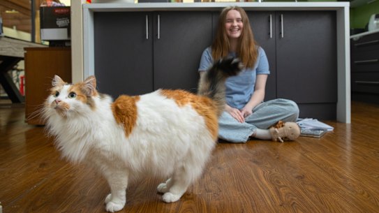 Izzy McAteer has a cat named after the Harry Potter character Luna Lovegood.