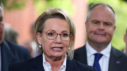 Opposition leader Sussan Ley on Tuesday morning.