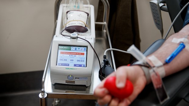 Ban lifted: Gay and bisexual men among over 600,000 Australians newly eligible to donate blood