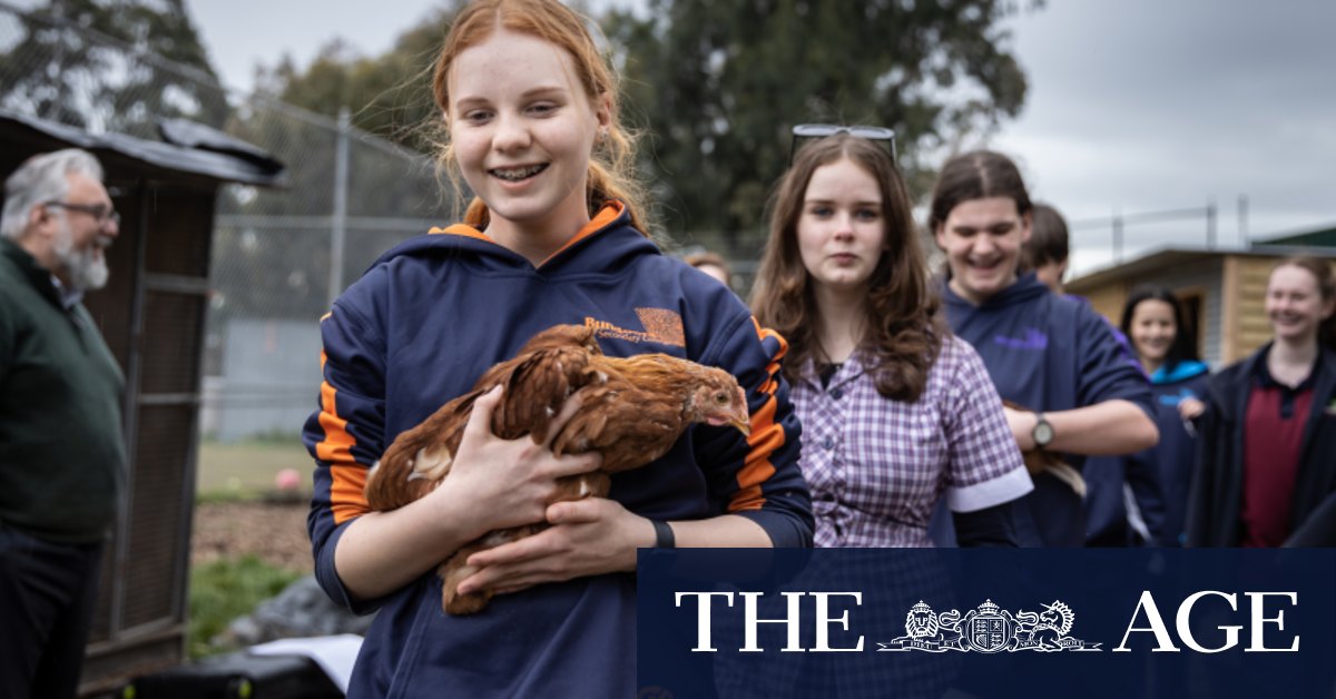 Schools that excel 2023: Bundoora Secondary College, Hume Anglican Grammar crowned northern winners - Vimarsana News