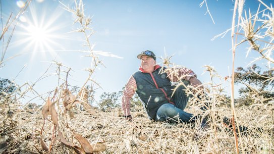 'We desperately need rain': Farmers' fears as ACT battles the big dry