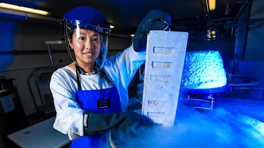The Doherty Institute's Dr Thi Hoang Oanh Nguyen, one of the researchers on the study team, with frozen human flu samples.