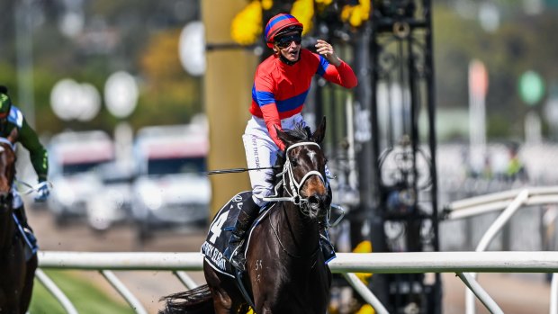 Champion mare Verry Elleegant retired; light Melbourne Cup penalty given to Emissary