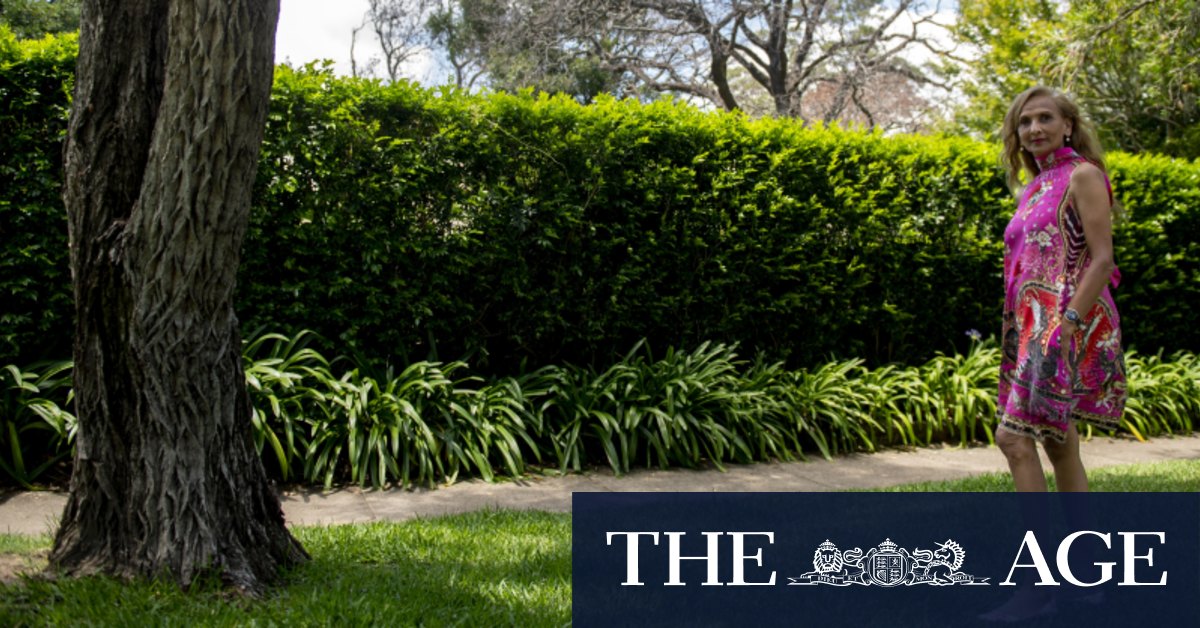 ‘Difficult and expensive’: Councils say laws don’t deter illegal removal of trees