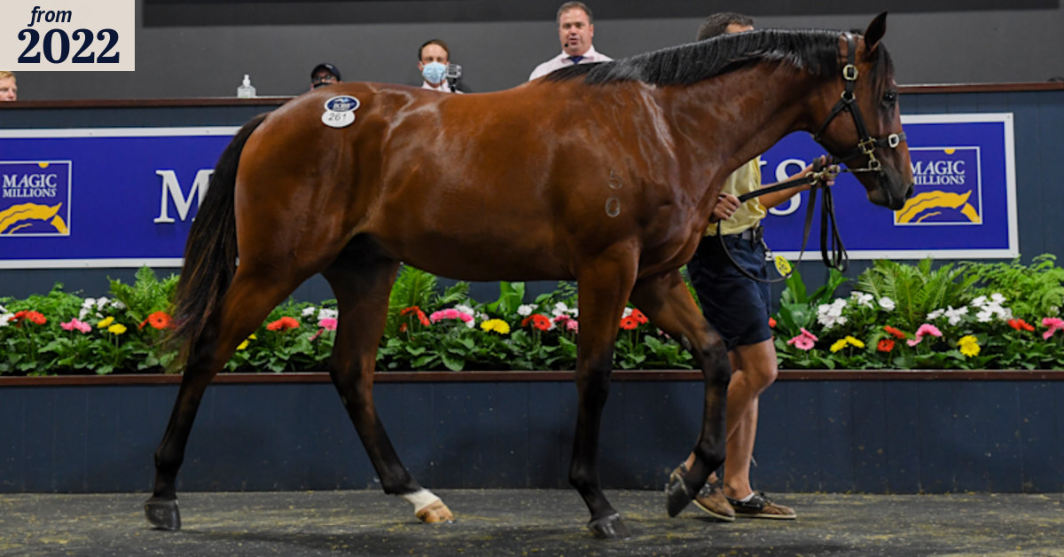 Cracking colt gets $1.7 million of admiration from Maher
