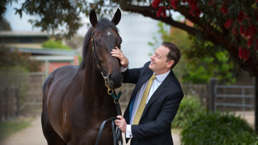  Tabcorp's managing director of wagering, Adam Rytenskild, with one of the key Spring chances,Seberate.