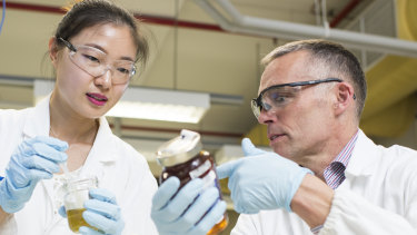 Professor Mark Taylor (right) and student Xiaoteng Zhou at Macquarie University have completed a survey of 100 samples of honey that shows Australia has adulterated honey.