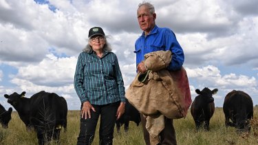 Angus Cattle farmer Shane Kilby with her husband Greg on their farm north of Dubbo. They are urging more access to rapid antigen tests as staff shortages so they can get their stock to market.