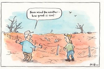Illustration: Cathy Wilcox