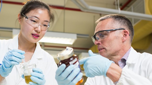 Professor Mark Taylor (right) and student Xiaoteng Zhou at Macquarie University have completed a survey of 100 samples of honey that shows Australia has adulterated honey.