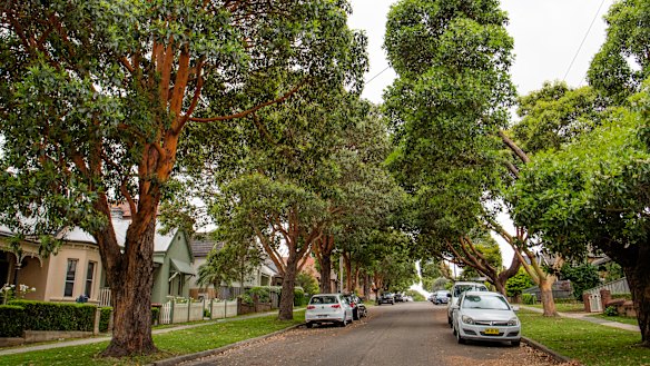 Carrington Street sits about 40 metres above the WestConnex tunnels.