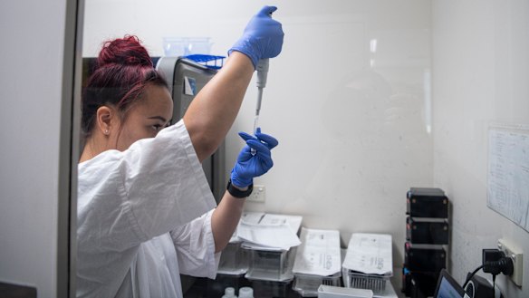 COVID-19 pathology testing at St Vincent's Hospital.