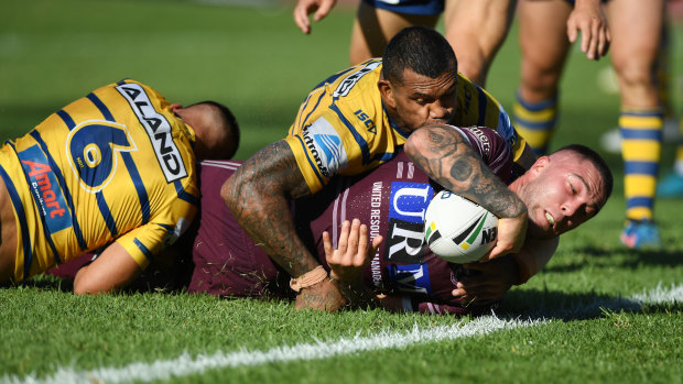 Back in Tigertown: Curtis Sironen is eager for a shot at his former team.