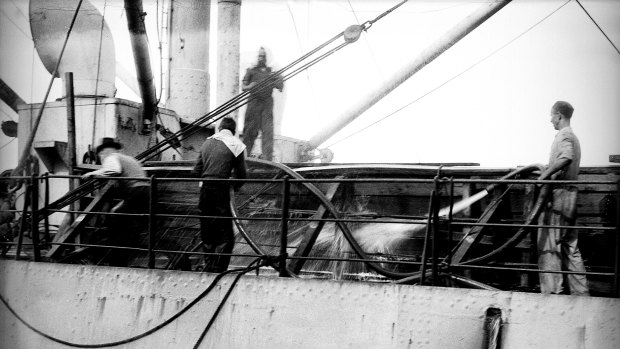 Men on a ship affected by the fire at no. 7 wharf, Campbell's Cove near Circular Quay. 2nd August 1944.