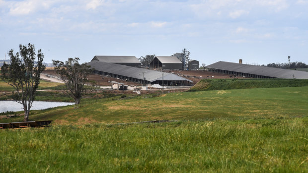The Perich family's large farm is next to the site of the new airport in western Sydney.