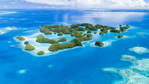 Palau is regarded as one of the world’s great diving destinations.