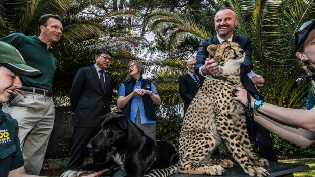 On Monday, a memorandum of understanding was signed between the National Zoo & Aquarium, Wellington Zoo and Singapore Wildlife Reserves signing in Canberra.
