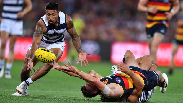 On the lowdown: Geelong's Tim Kelly grabs a chance to take possession.