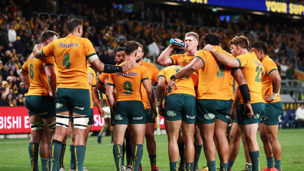 The Wallabies suffered a 24-8 loss to the Springboks in Sydney. 