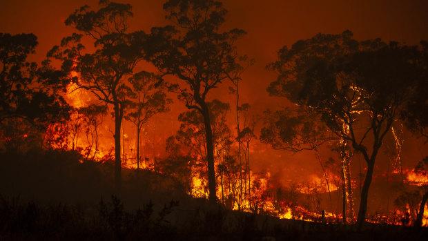 A fire burns through Mangrove Mountain in NSW in December.