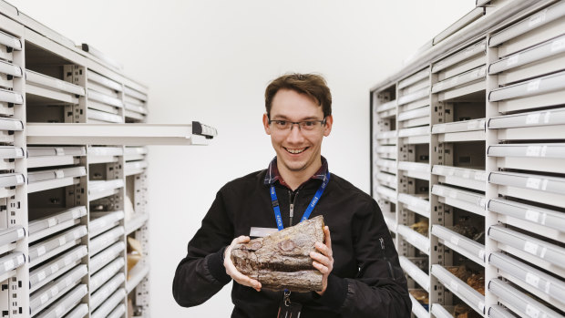 The Australian Museum is closing for a year for renovations, but its work as usual for the team of volunteer archivists, and scientists, doctors and students including Dr Patrick Smith, technical officer of paleontology.
