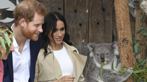The royal couple met a mother koala at Taronga Zoo who gave birth to koala joey Meghan, named after Her Royal Highness, with a second joey named Harry after His Royal Highness.