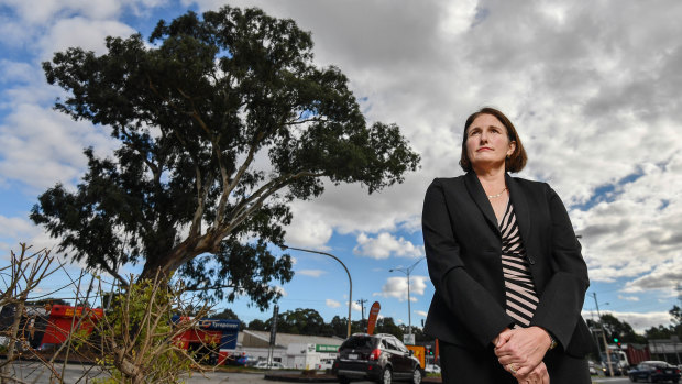 Manningham mayor Paula Picinini wants the gum tree to be preserved.