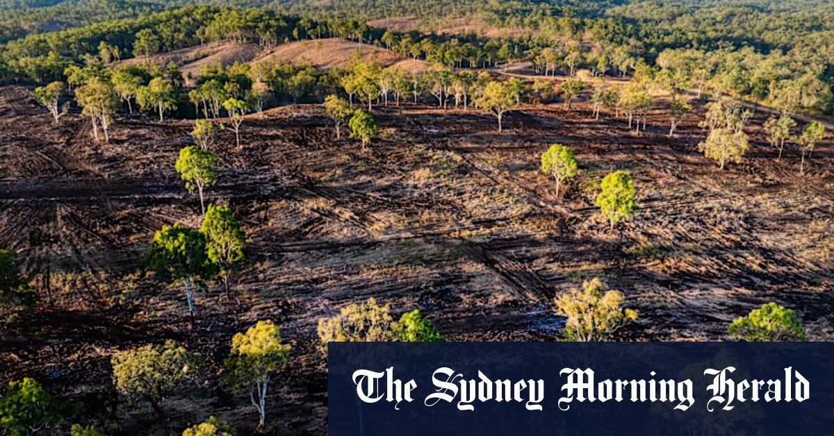 Queensland clears forest area twice the size of Brisbane in one year