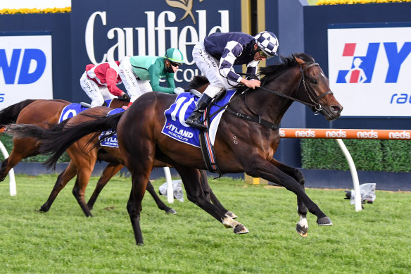 Russian Camelot won the Underwood Stakes with jockey Damien Oliver on Saturday. 