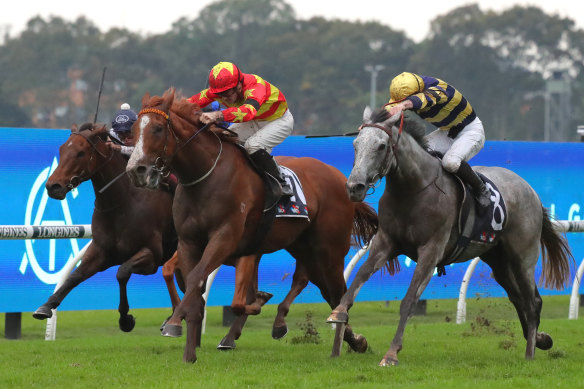 Tyler Schiller boots home Money From The Sky at Rosehill.