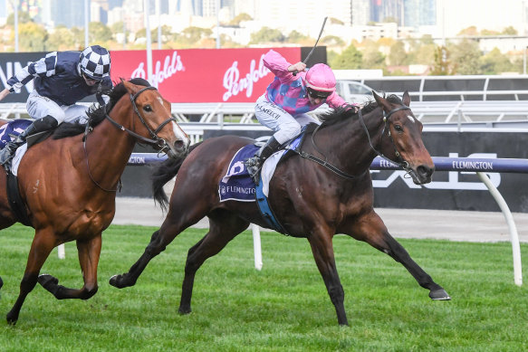 Looks Like Elvis charges through on the inside to win at Flemington earlier in this month