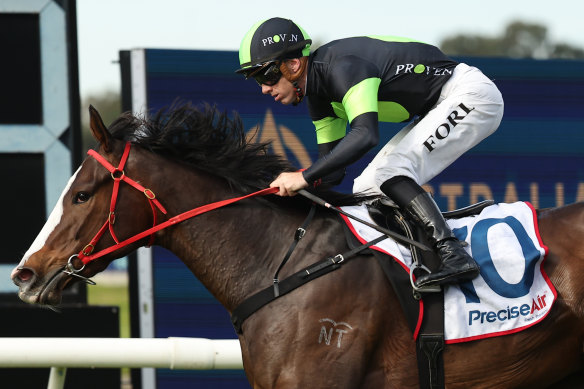 In Flight will be out to secure BOBS horse of the year by completing a hat trick of wins at Randwick on Saturday 