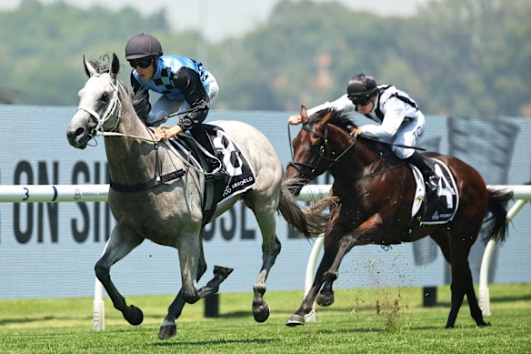 Zac Lloyd rides Hidrix to win the Arrowfield Canonbury Stakes at Rosehill Gardens on January 31.