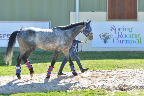 The Werribee quarantine centre.