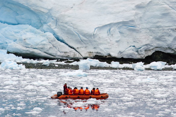 A report into the Australian Antarctic Division exposed predatory behaviour. 