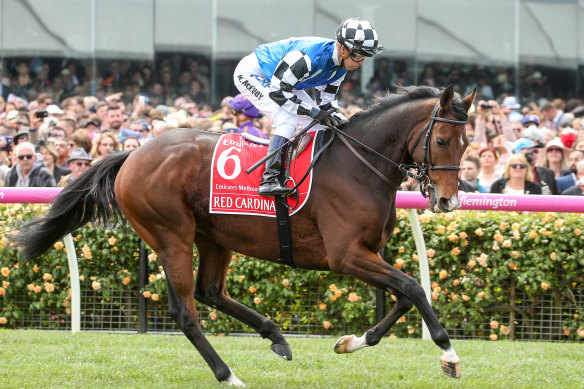 Red Cardinal finished 23rd in the 2018 Melbourne Cup for trainer Darren Weir.